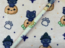 Load image into Gallery viewer, Custom Minky Blanket