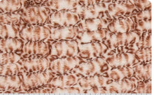 Load image into Gallery viewer, Woodland Cheetah Milan Minky Blanket PREORDER