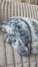 Load and play video in Gallery viewer, Nightfall Enzo Milan Minky Blanket
